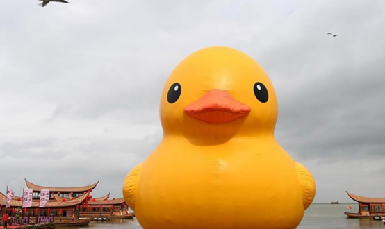 Pato de borracha gigante entra em Kunming, no sudoeste da China